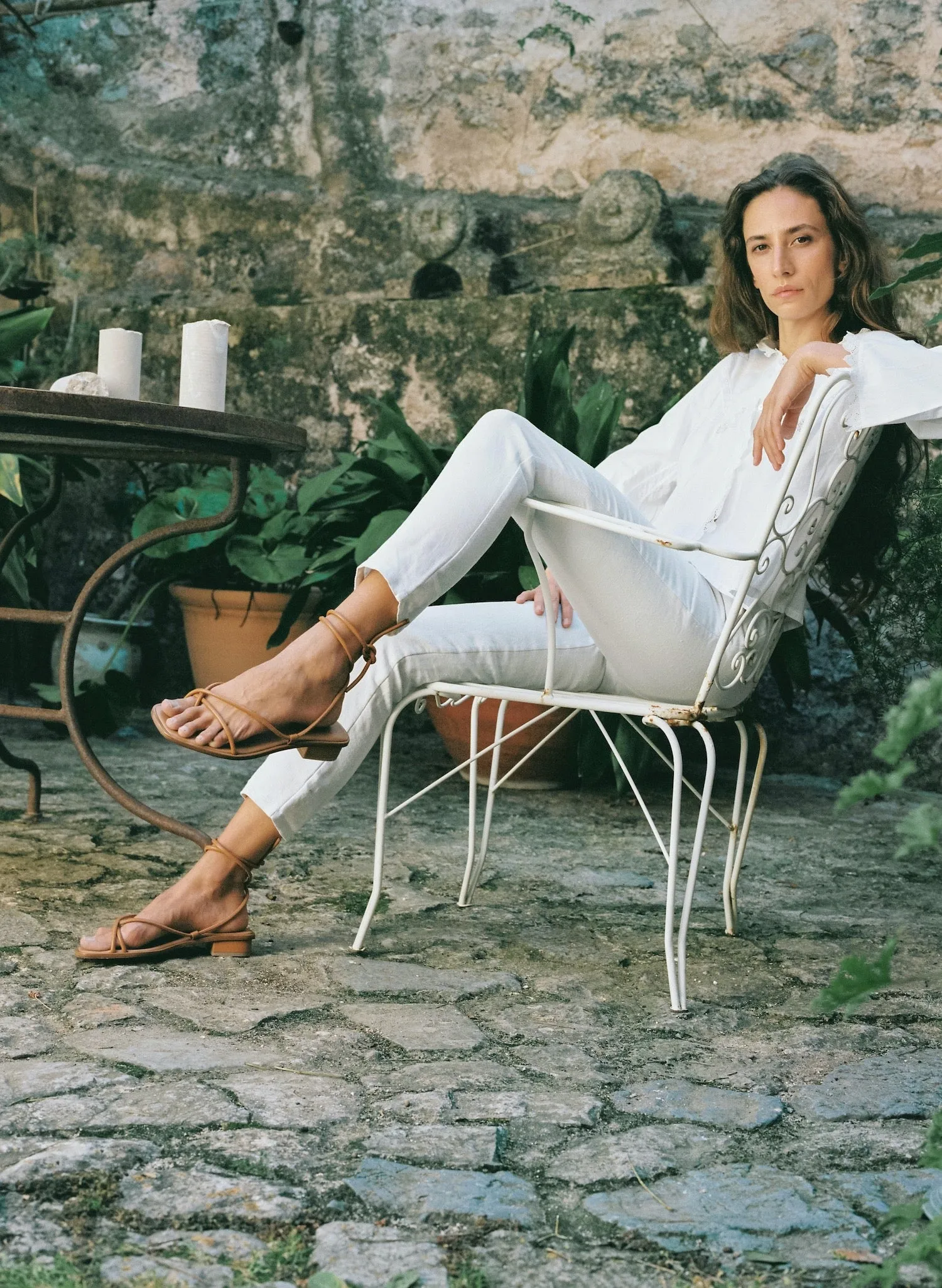Ara in Cuero