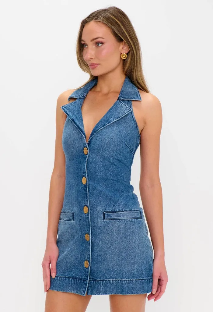 Darien Dress-Bluebird