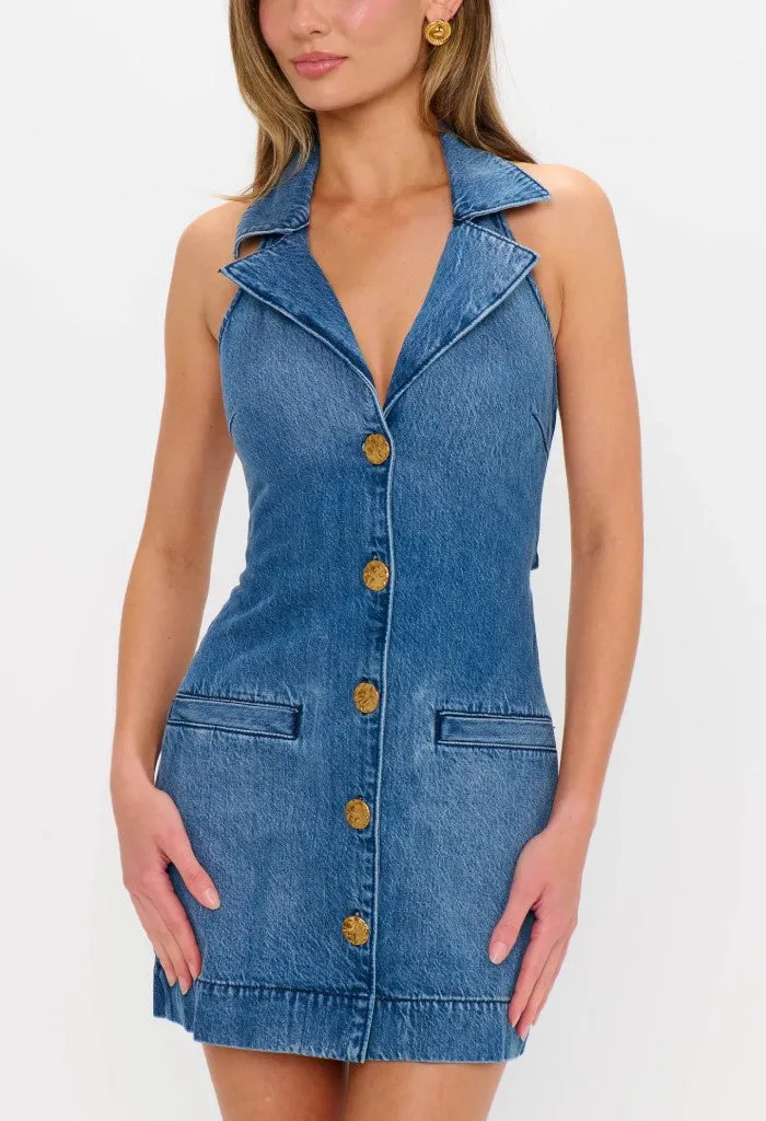 Darien Dress-Bluebird