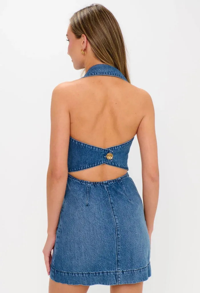 Darien Dress-Bluebird