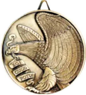 Eagle, High-Quality Satin Finish