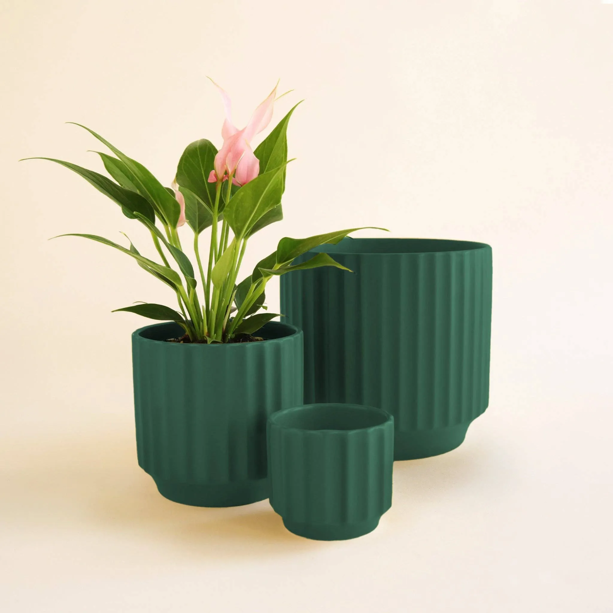 Monroe Pot - Rainforest: 4.5 inch
