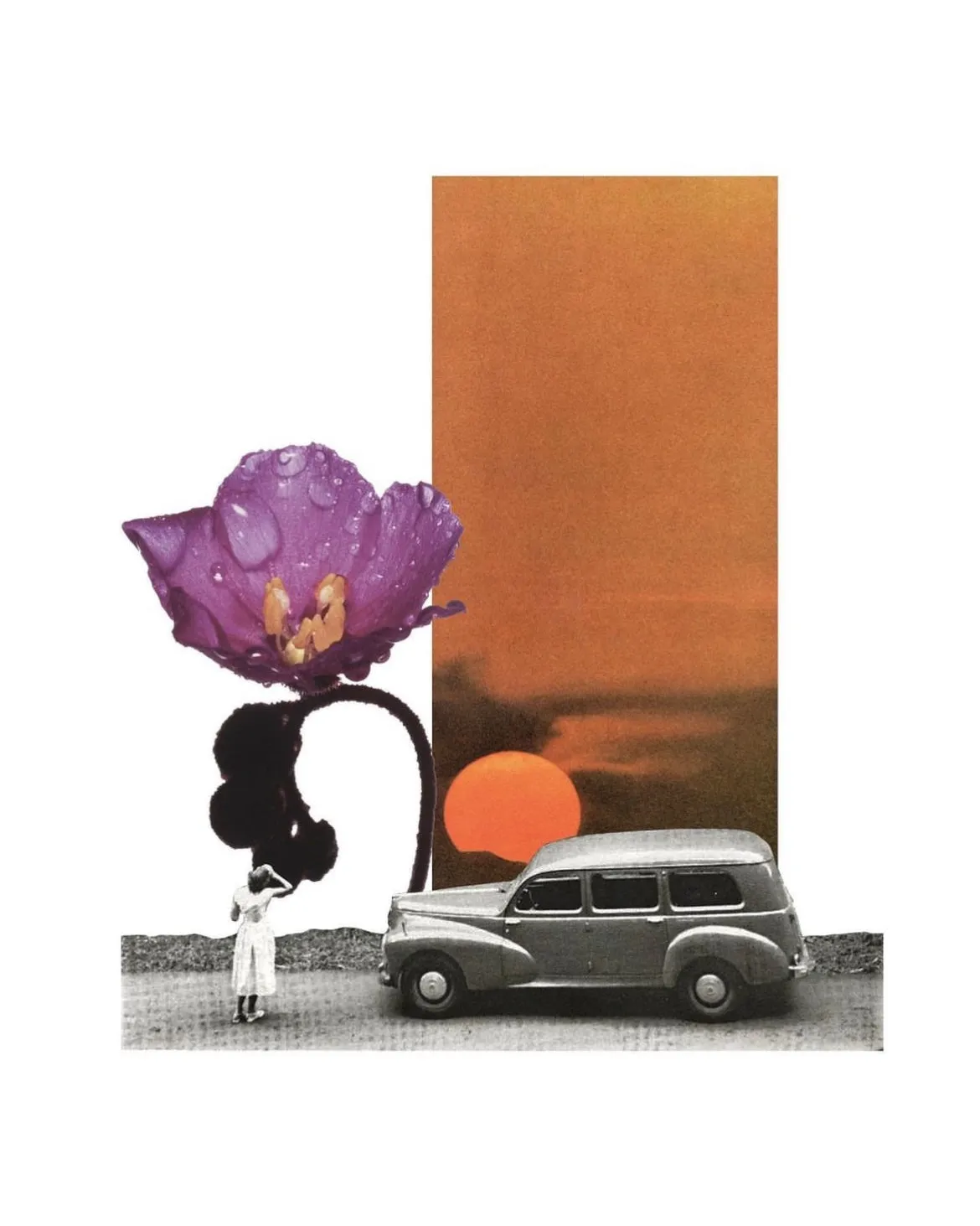 NEURONA COLLAGE STUDIO- 5"x7" Collage Print- Alice Sundew
