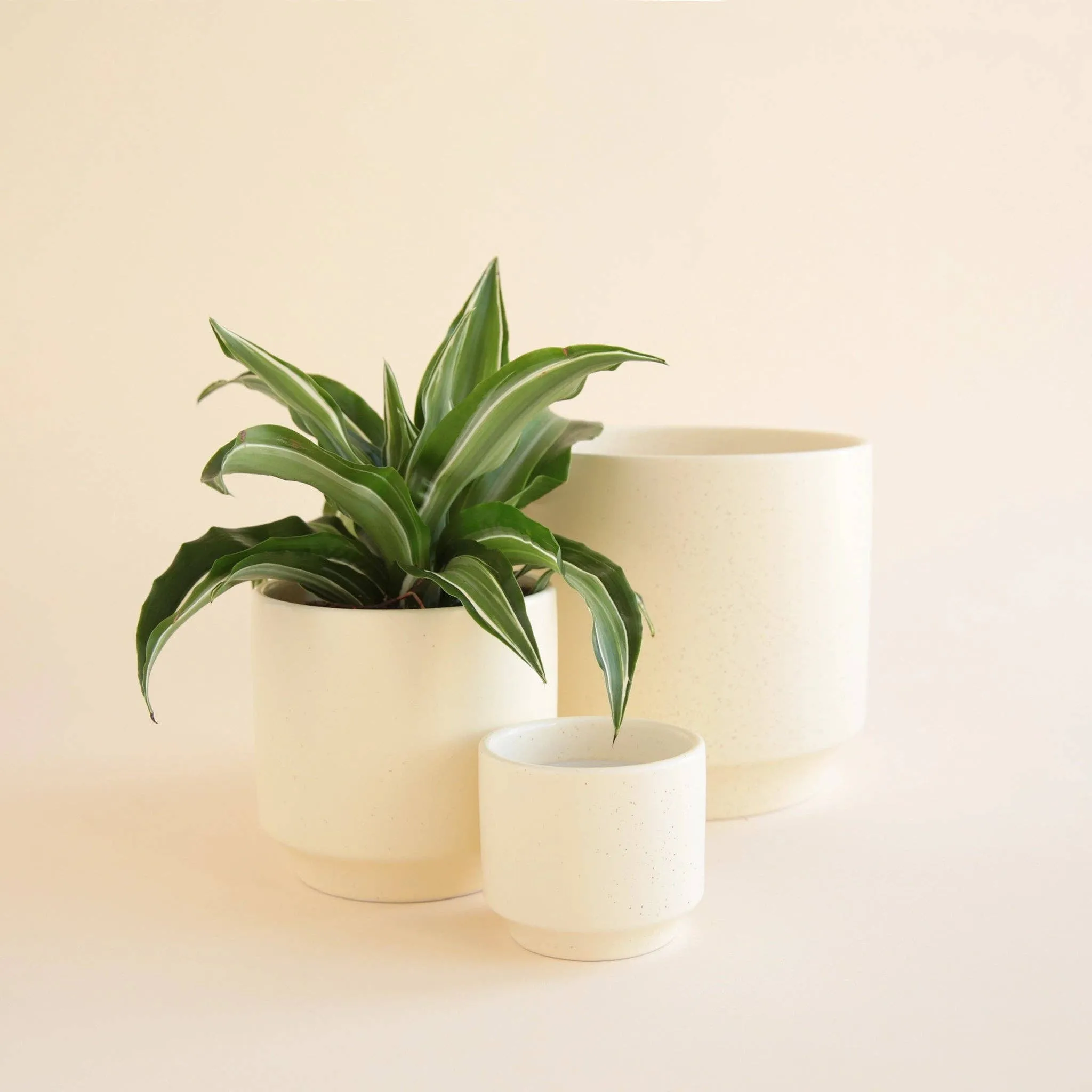 Parker Planter | Vintage White Speckle: 3 inch