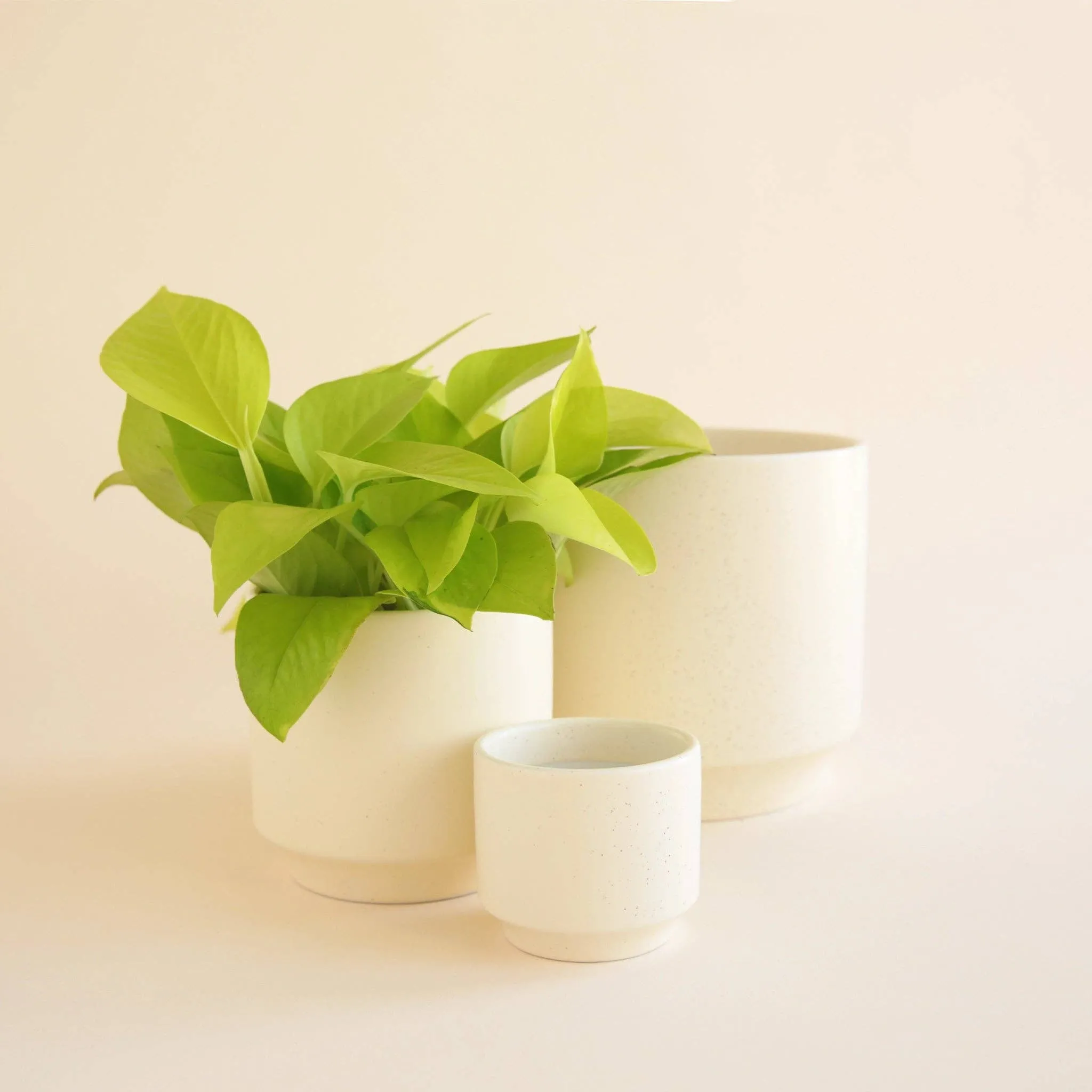 Parker Planter | Vintage White Speckle: 3 inch