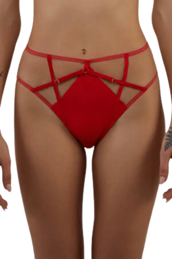 Ramona Mesh High Waisted Brief - Red