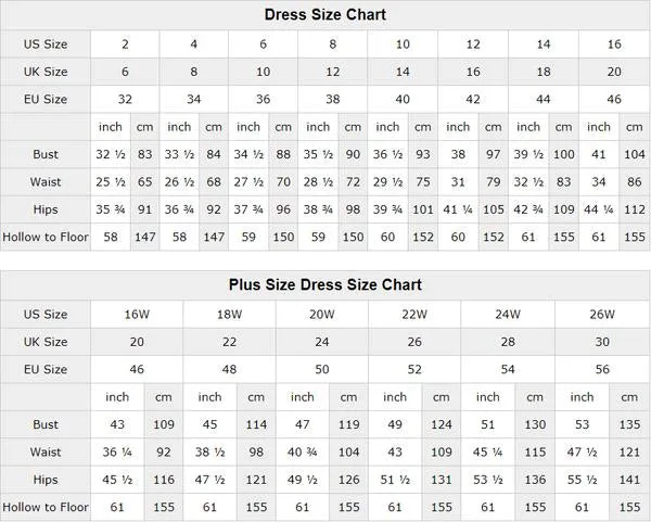 Sexy Spaghetti Straps Simple  V Neck Chiffon Beach Wedding Gown Backless YRL116