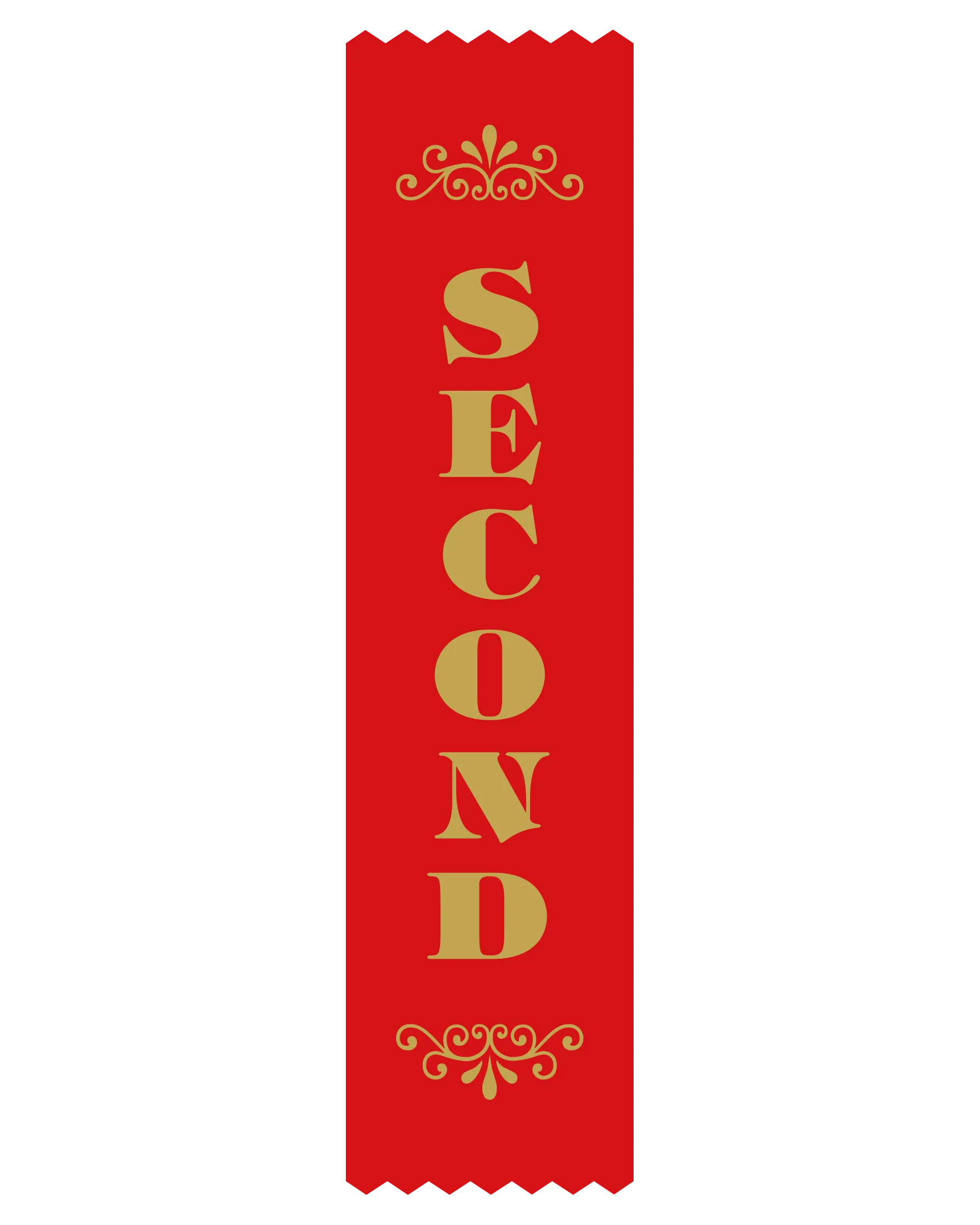 SR9 2nd Place Satin Ribbon